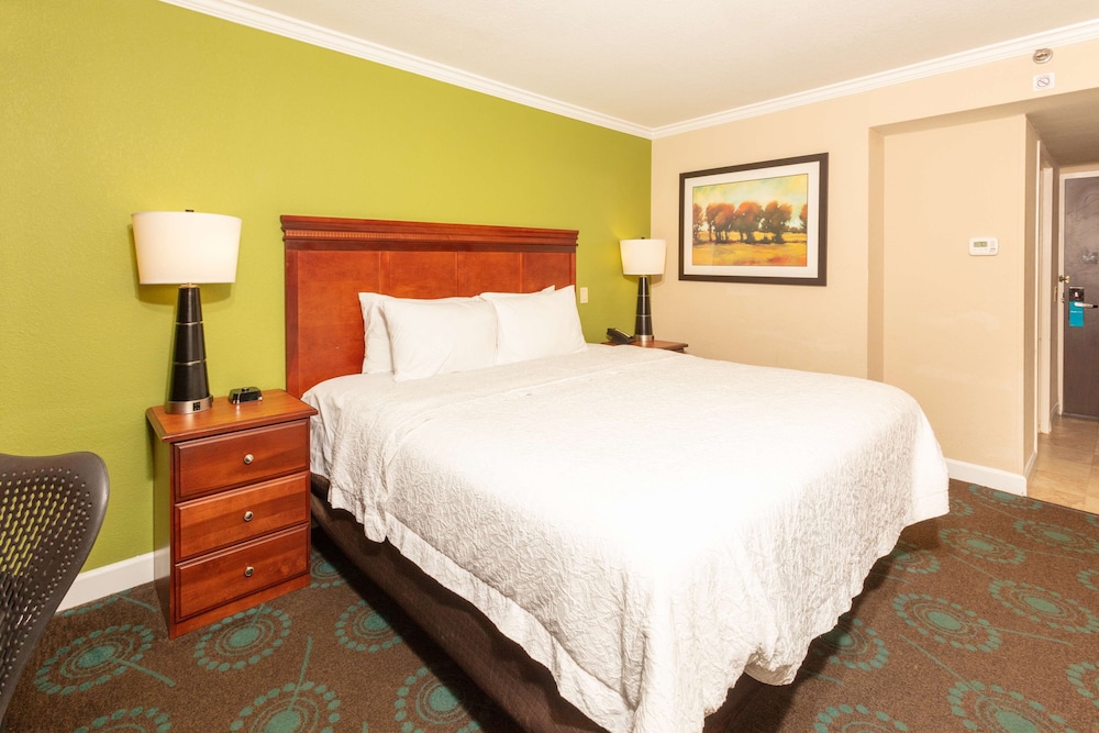 Hampton Inn Daytona Speedway - photo 19