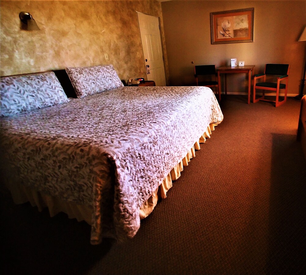 Gold Star Motel - photo 9