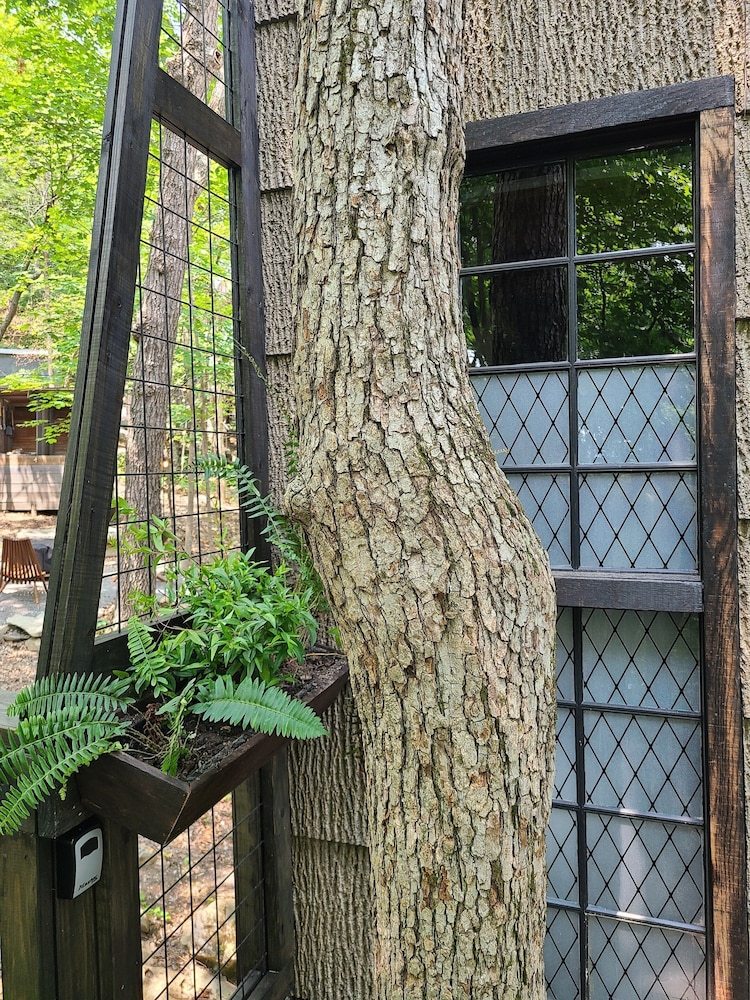 The Treetop Hideaways at Ruby Falls - photo 91