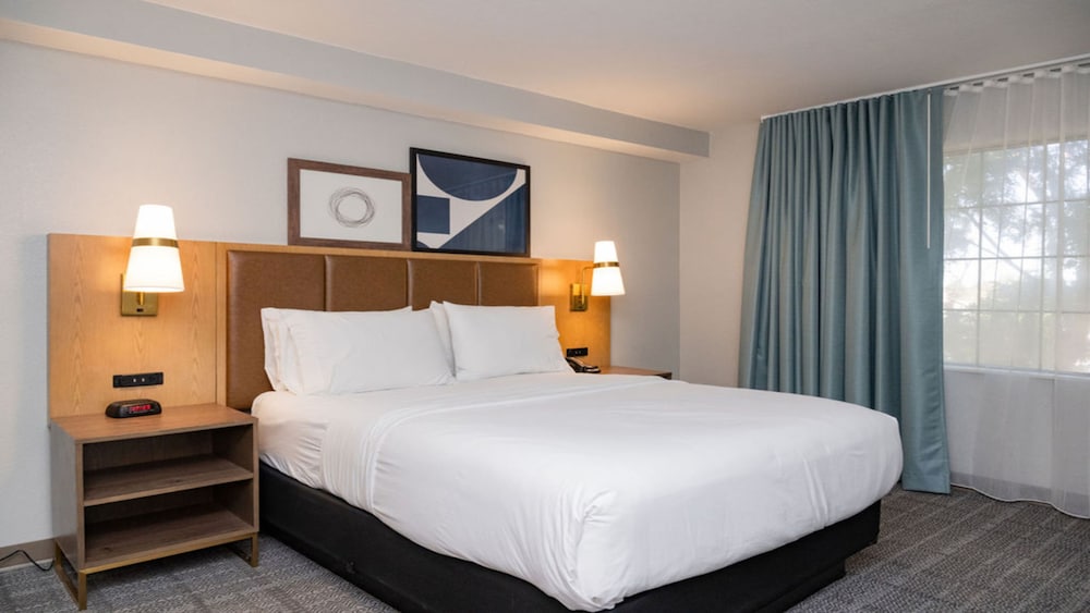 Staybridge Suites Jackson by IHG - photo 16