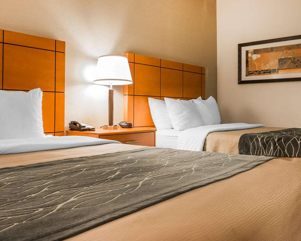 Comfort Inn Metro Airport - photo 16