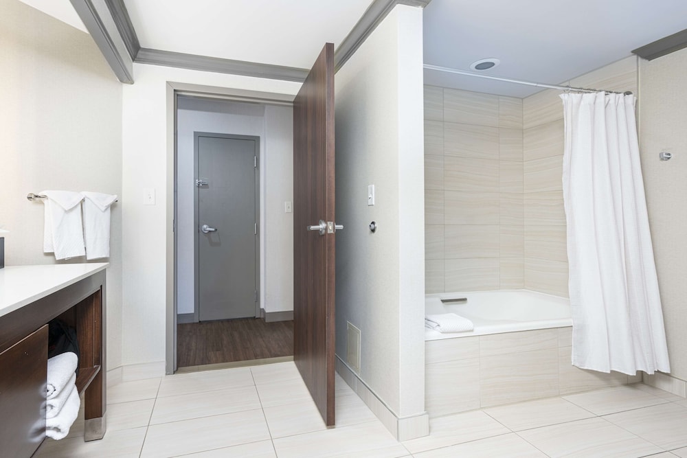 Embassy Suites by Hilton Indianapolis Downtown - photo 32