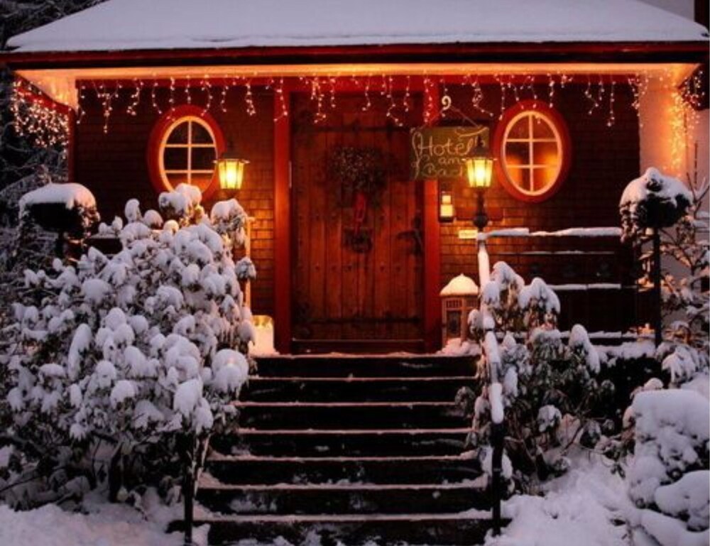 Hotel am Bach — hotel in Hinterzarten