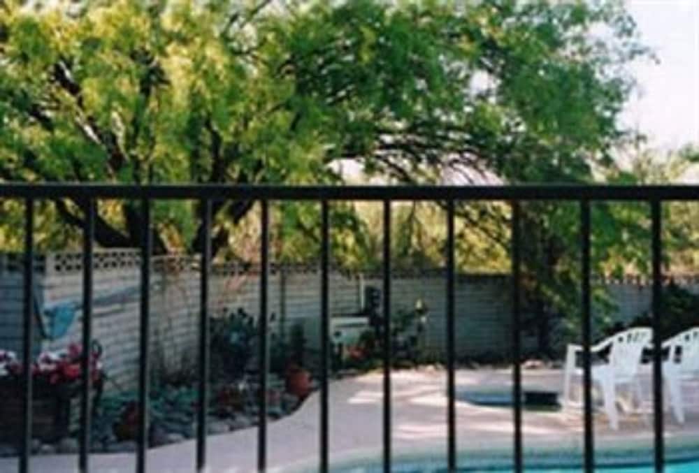 Bed and Bagels of Tucson - photo 17