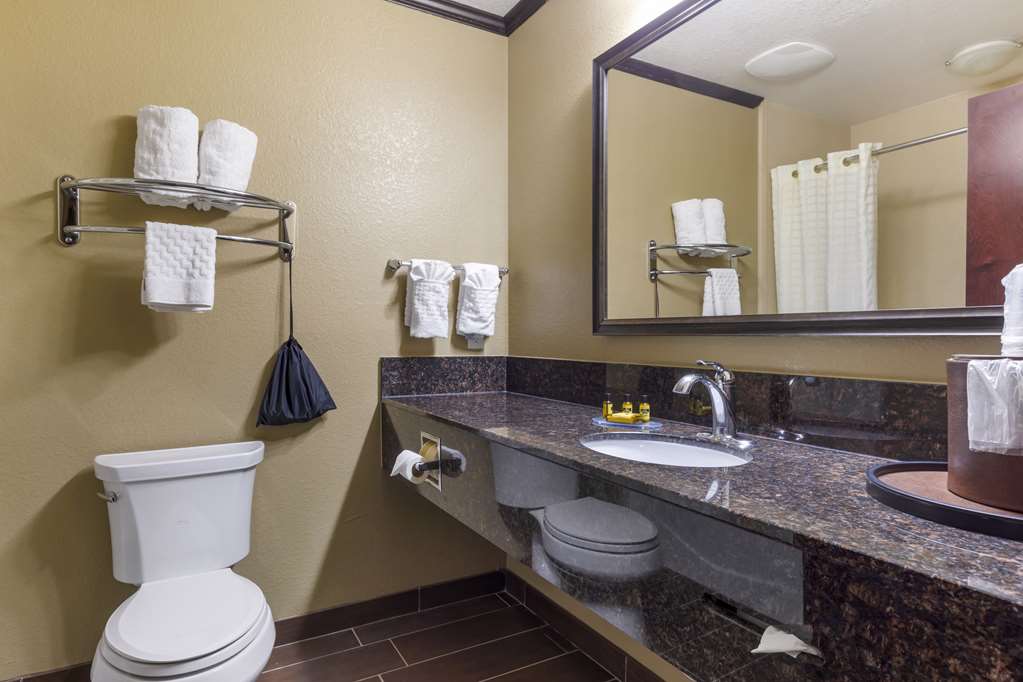 Best Western Plus Classic Inn & Suites - photo 27