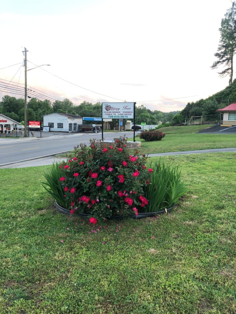 Ellijay Inn - photo 20