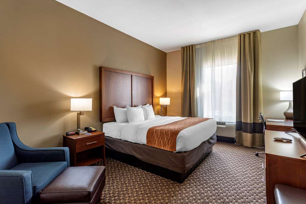 Comfort Inn & Suites Atoka Millington - photo 5