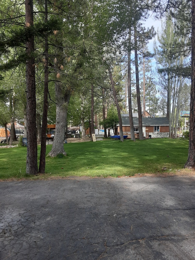 Grey Squirrel Resort - photo 175