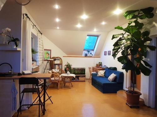 Apartmán Sluníčko — hotel in Ohrazenice