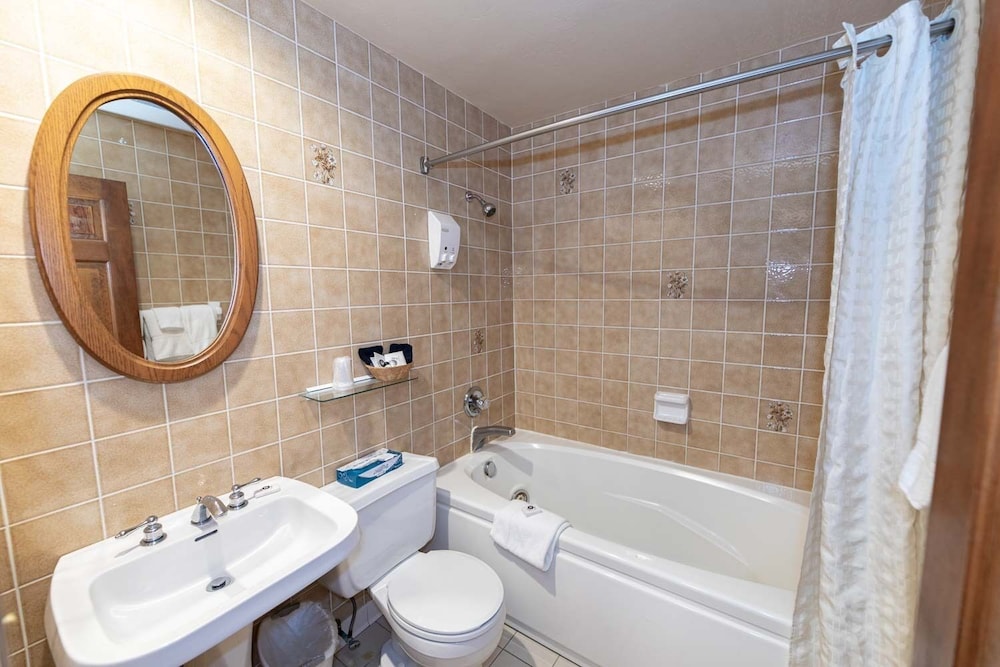 Hotel Vienna - photo 15