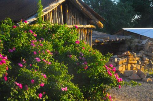 Canyon Of The Ancients Guest Ranch - photo 35