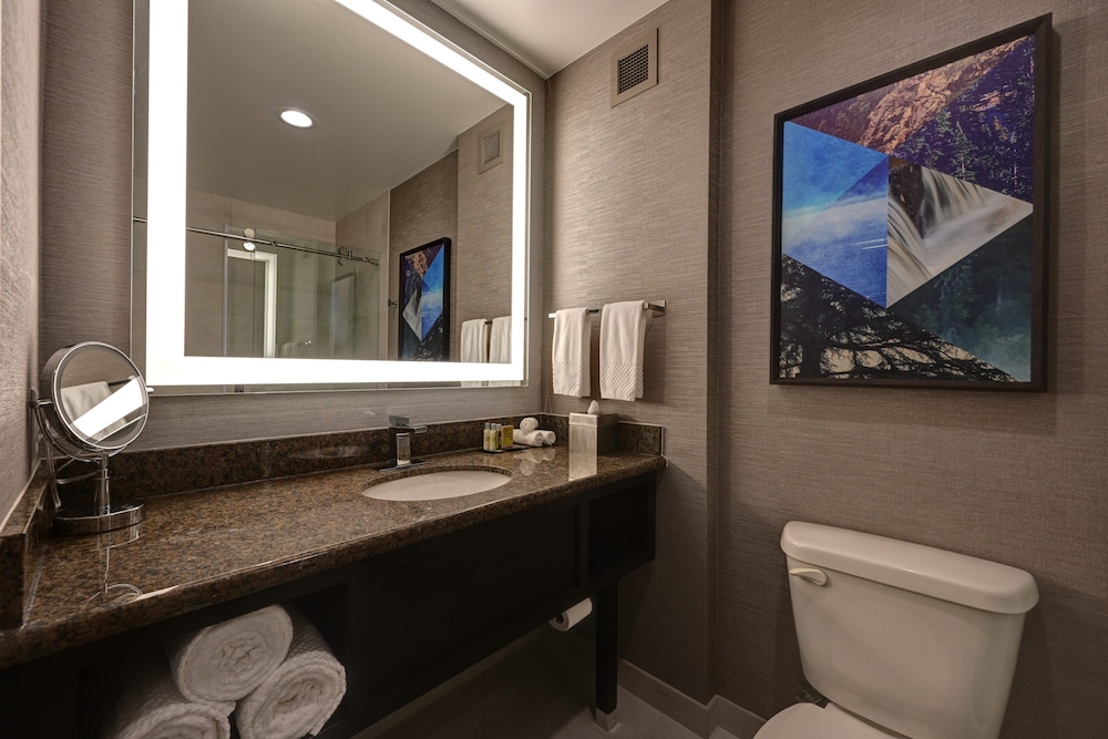 DoubleTree by Hilton Denver International Airport - photo 27