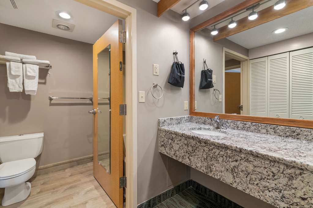 Best Western PLUS Executive Court Inn & Conference Center - photo 56