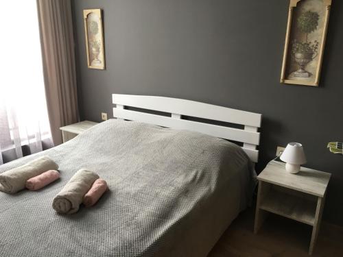 Old Alley Apartment