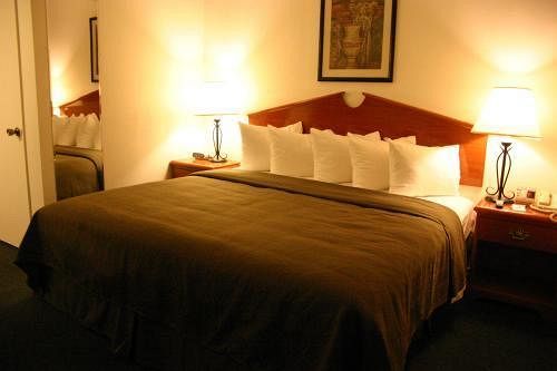 Portofino Beach Inn - photo 9