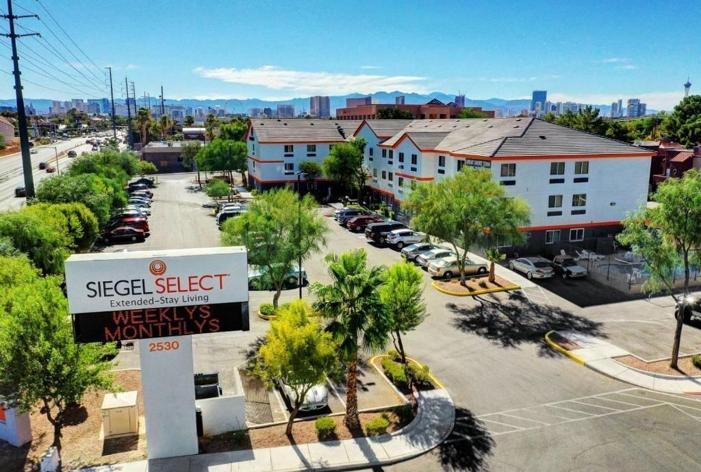 Siegel Select Flamingo - featured photo
