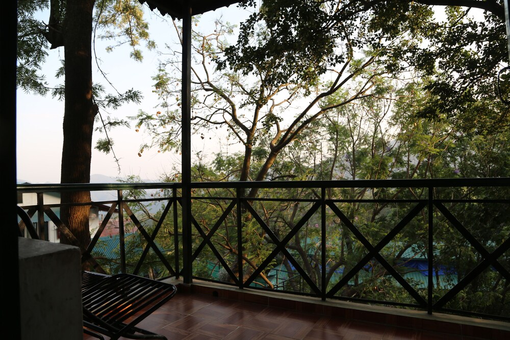 Winnies — Kasauli — photo 4