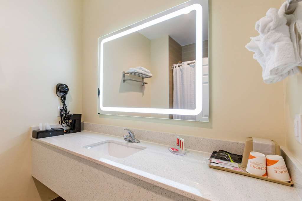 Econo Lodge Inn & Suites Houston Willowbrook - photo 26