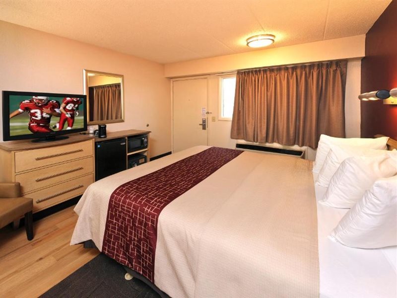 Red Roof Inn Rochester Henrietta - photo 11