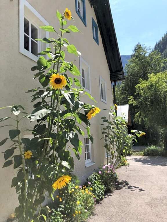 Fenix Hall Boutique Hotel Hallstatt - carbon neutral hotel in Hallstatt