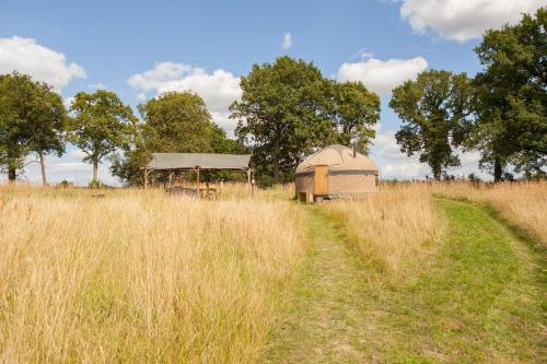 Ash Yurt - carbon neutral hotel in Edenbridge