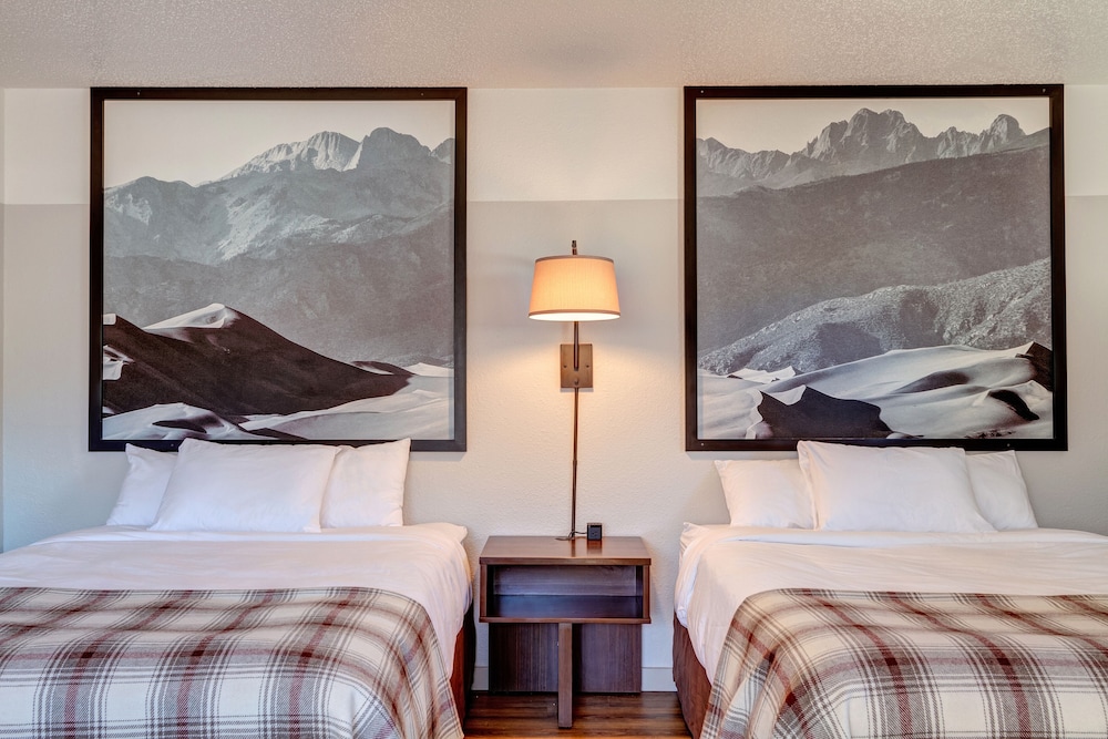 Loyal Duke Lodge - photo 12