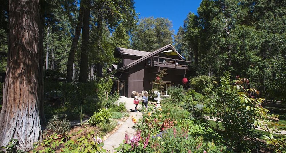 Harmony Ridge Lodge - photo 28