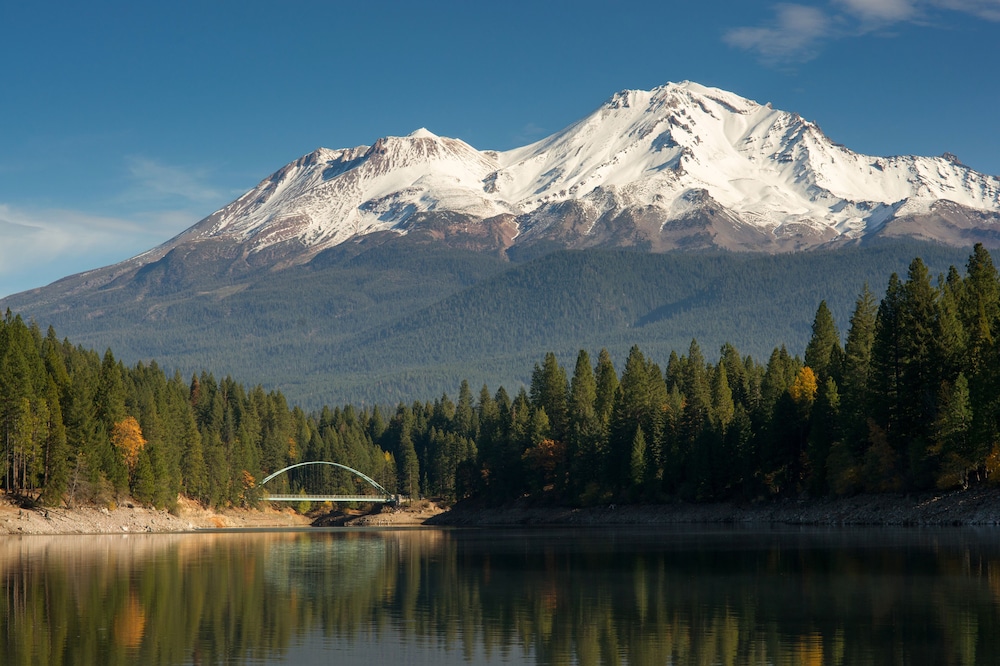 Mount Shasta Resort - photo 80