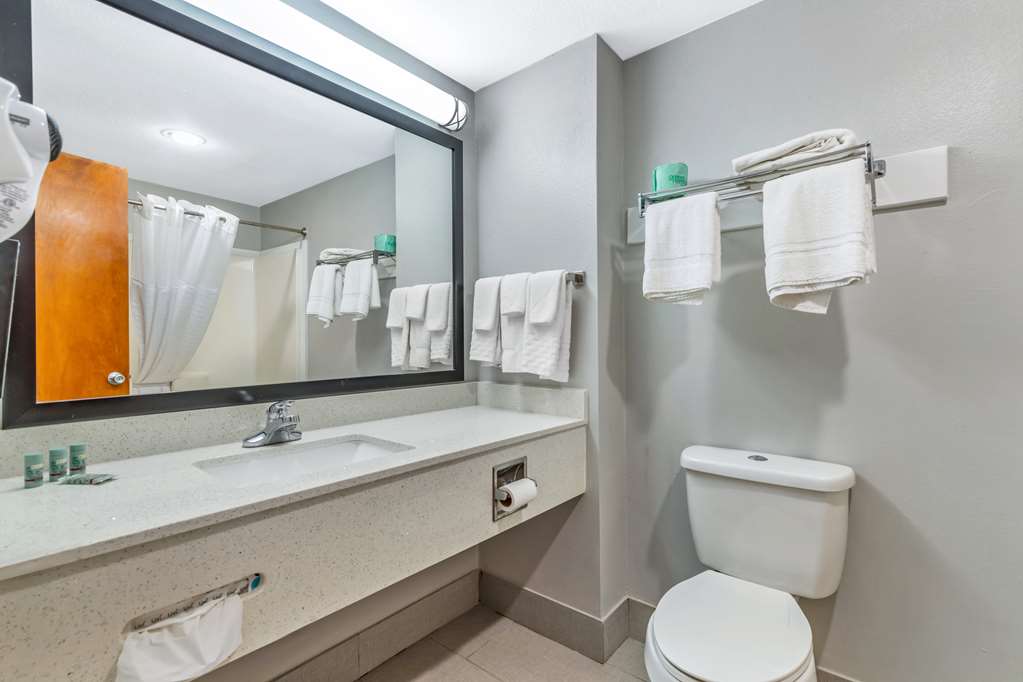 Best Western Port Lavaca Inn - photo 20
