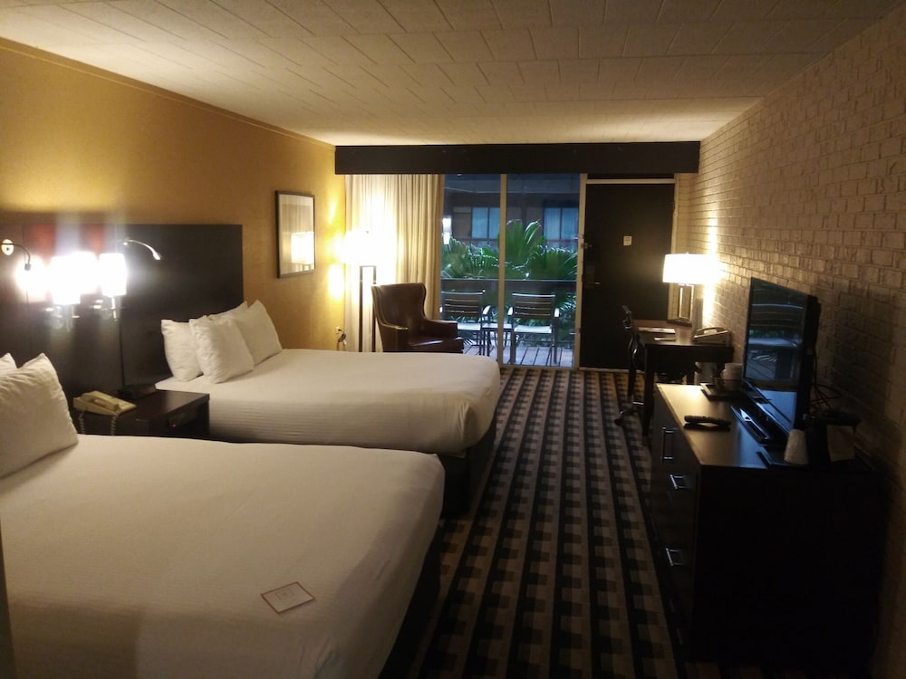 M Hotel Buffalo - photo 12