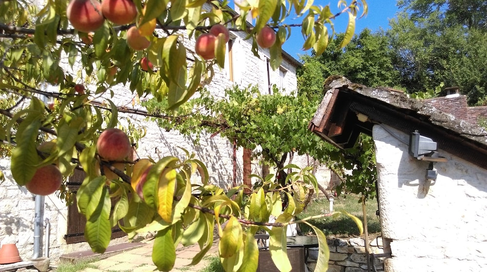 Chez Lavergne Table D’Hotes — Floirac — photo 2