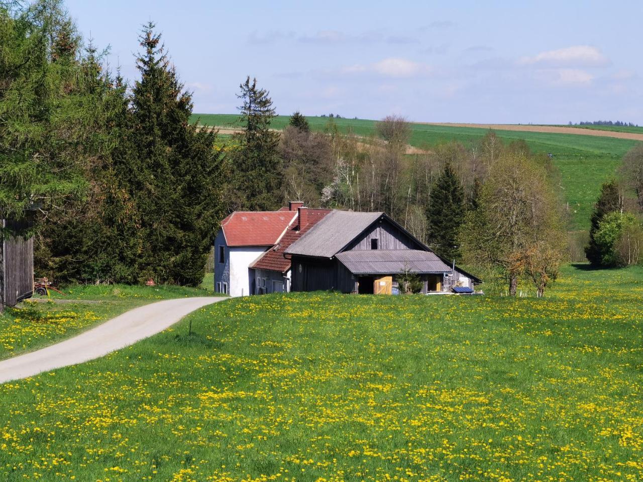 Landhaus auf der Alm — 4-Star Luxury Hotel in Langschlag, Austria