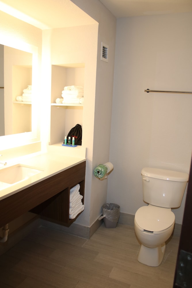 Holiday Inn Express & Suites Douglas by IHG - photo 28