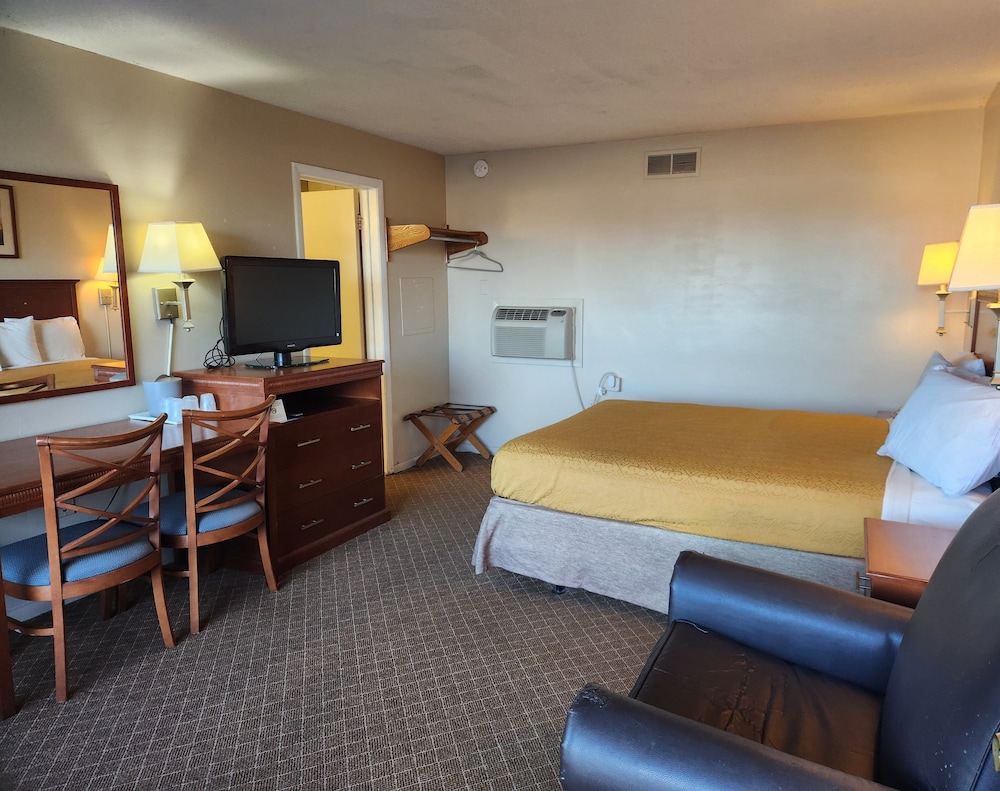 Royal Motel - photo 15