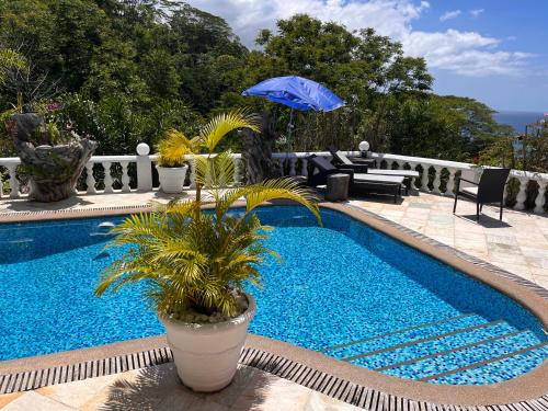 Casa Doro Villa — 4-Star Luxury Hotel in Victoria, Seychelles