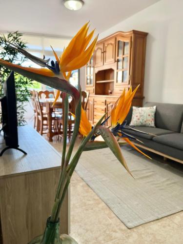 Piso Centrico Corazon de Aridane in Los Llanos De Aridane, Spain