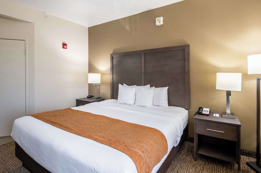 Comfort Inn Bossier City Casino Area near Shreveport Downtown - photo 7