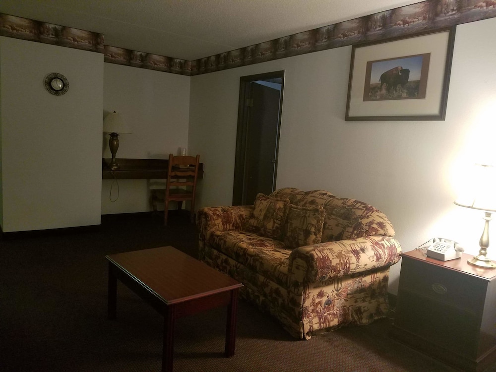 Dodge House Hotel & Convention Center - photo 10