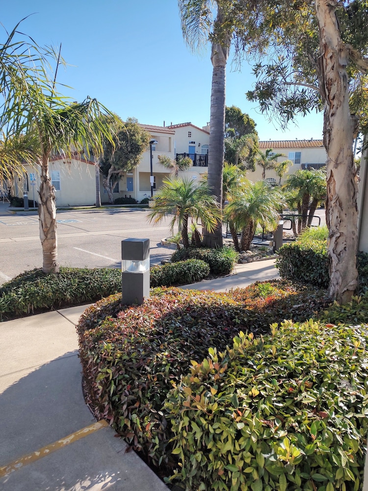 Pacific Plaza Hotel - photo 137