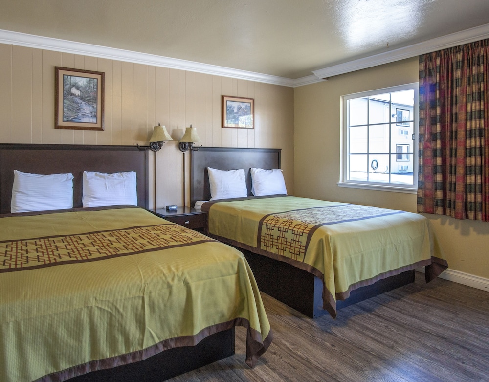 Charm Motel & Suites - photo 31