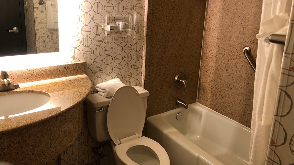 Holiday Inn Asheville East Blue Ridge PKWY by IHG - photo 8