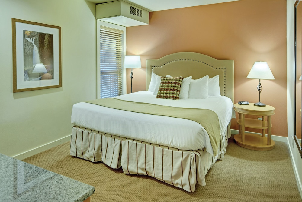 Seventh Mountain Resort - photo 10