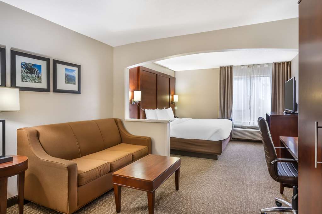 Comfort Inn & Suites Conway - photo 33