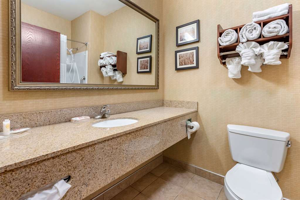Comfort Suites Elkhart South - photo 8