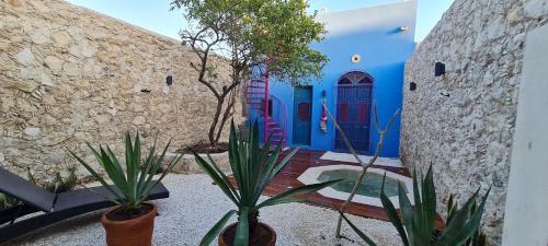 Casa Nicté hospédate en una casa del siglo XVIII — 4-Star Luxury Hotel in Campeche, Mexico