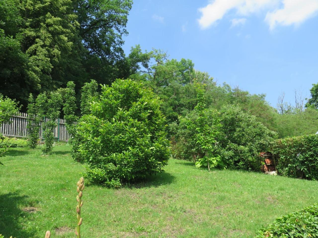 Parkany 1 — Bechyne — photo 5