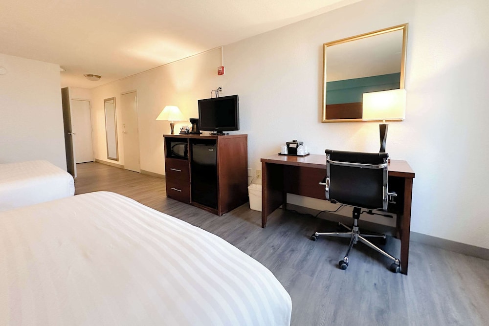 The Adventure Hotel by the parks - photo 17