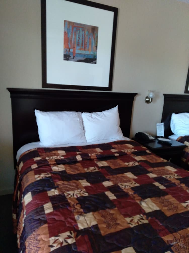 Budget Lodge of Mount Dora - photo 25