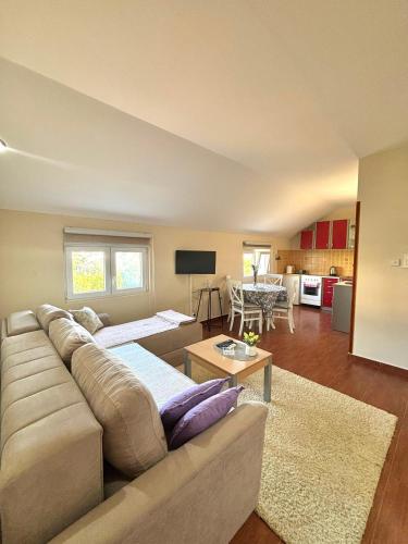 Apartment Lily — 4-Star Luxury Hotel in Tivat, Montenegro
