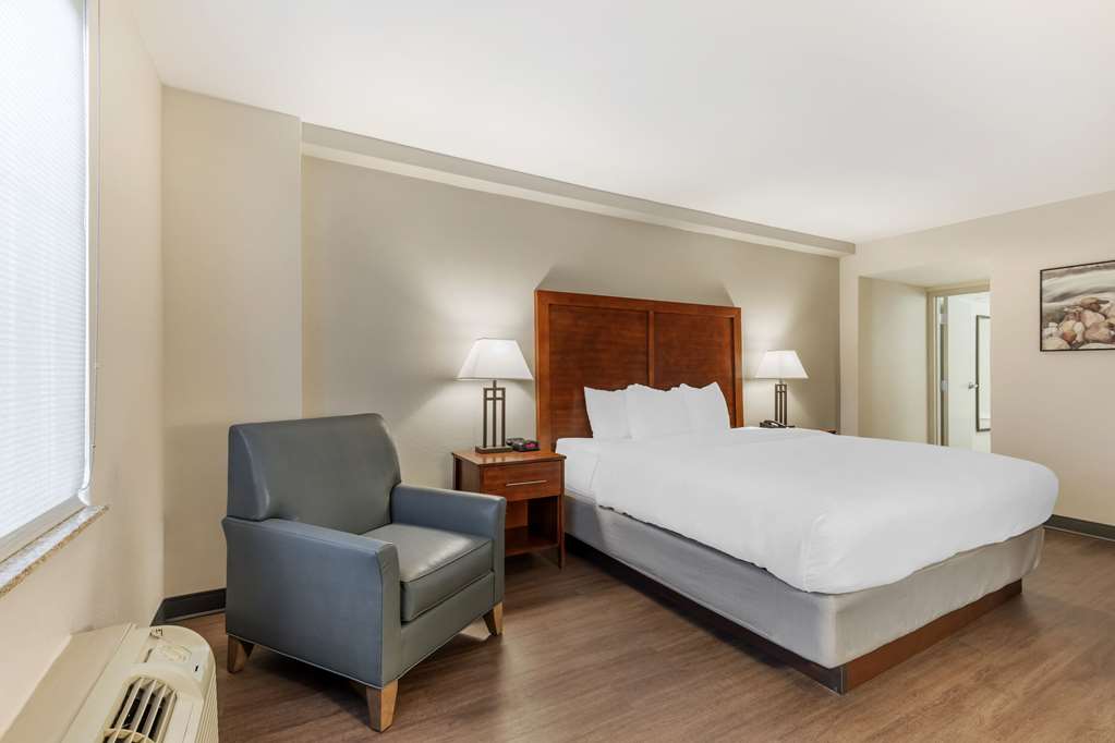 Comfort Inn Conference Center - photo 7